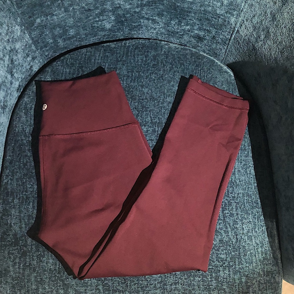 Wunder Train High-Rise 21”